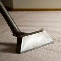 Carpet cleaning throughout the house?